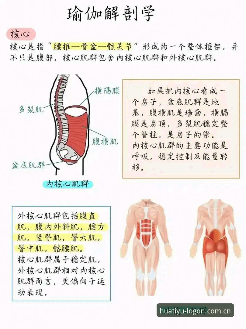 揭秘华体育官网首页：新手必知的五大核心功能与下载真相